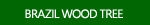 Brazilwood Tree Photos