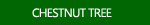 Chestnut Tree Images