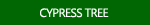 Cypress Tree Pictures