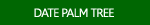 Date Palm Tree