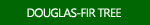 Douglas Fir Tree Photos