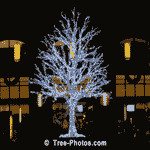 Christmas Tree Decorated With White LED Lights | Tree+Christmas+Lights @ Tree-Pictures.com