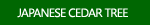 Japanese Cedar Tree Pictures