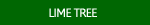 Lime Tree Images
