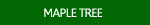 Maple Tree Photographs