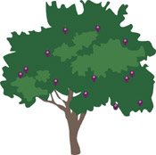 plum tree cartoon