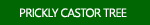 Prickly Castor Tree Photos