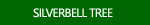 Silverbell Tree Photographs