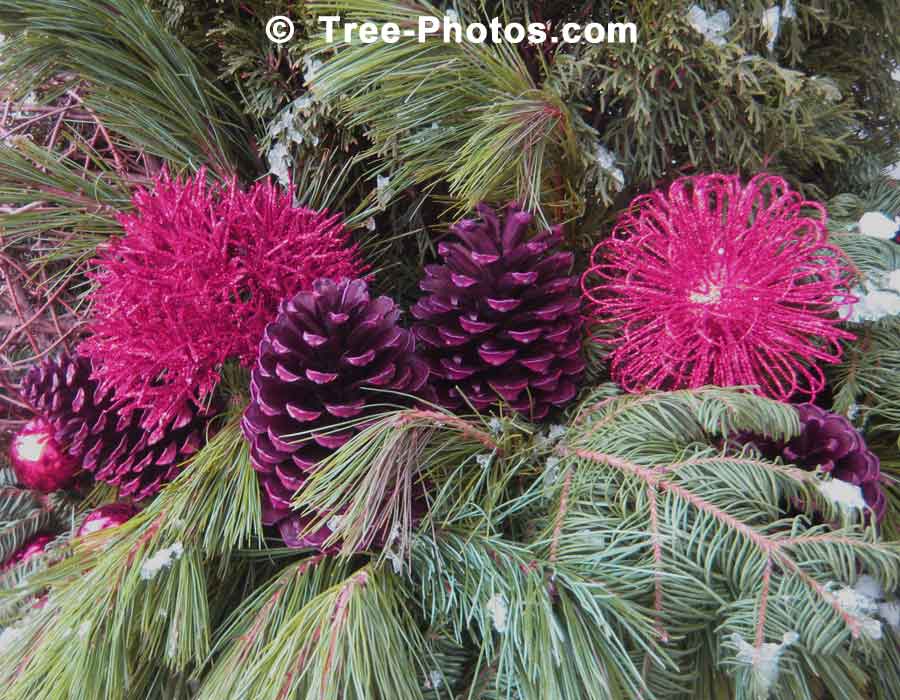 Stunning Christmas Decorative Planter