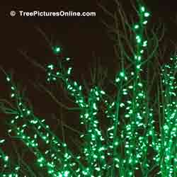 Christmas Tree Pictures: Xmas Tree Topper Decorated With Red LED Lights