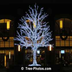 Christmas Tree Decorated With White LED Lights