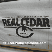 Cedar Manufacturer